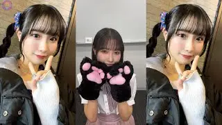 Kucing Minta Maaf.