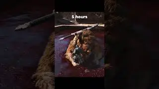 5 hours vs 500 hours gameplay in BMW be like: