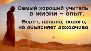 Что жизнь пытается вам донести?