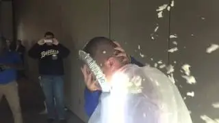 Manager Pie in the Face 