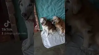 así es como se ve el amor 