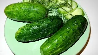 Малосольные огурцы (быстрый рецепт). Salted cucumbers.