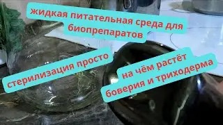 Максимально простой и рабочий способ размножения триходермы, стерилизация, заселение, основа.