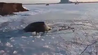 Неудачная зимняя рыбалка в Шарыпово