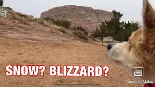 Our First 24 Hours in New Mexico and A Blizzard
