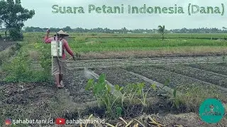 Suara Petani Indonesia (Dana)
