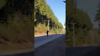 KX450 Swervin