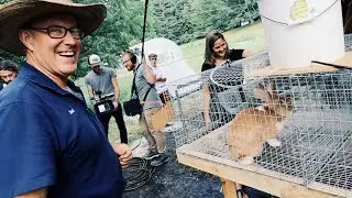 Joel Salatin Teaches Us About Raising Rabbits
