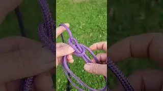 A Spanish Bowline to make a quick improvised dog harness.