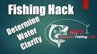 Fishing Hack for Muddy, Murky, Stained or Clear Water Fishing. Water Clarity Tool
