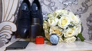 Туй дар Гулшан