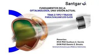 Tema 2: Tips y trucos para evaluar los ojos (Traducción Español)