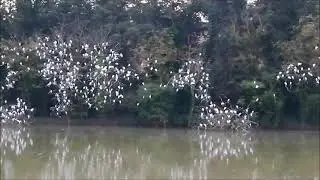 Campocavallo: Spettacolo al tramonto nel laghetto
