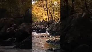 water selip vidio relax video of good saund vidio song