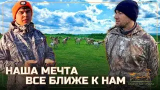 Будни Фермера / Базе отдыха на нашем Ранчо БЫТЬ / Жеребят становиться все больше и больше