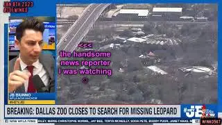 Handsome News Reporter Notices Joe Winko