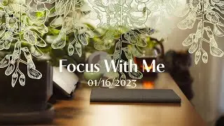 Focus With Me | Live Pomodoro 50/10 Thunderstorm ASMR | Tangerine Blossom Tea