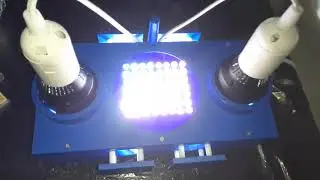 Celebrating July 4th With Our PhotoRedOx Duo Photoreactor