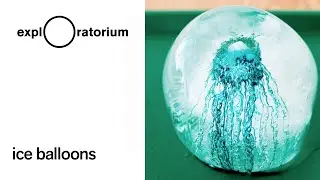 Ice Balloons - Science Snack Activity