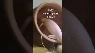 2 ноября 2022 г.