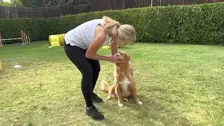 Reaction Giving Treat - Kim Simons