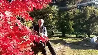 Знакомство с древними русскими инструментами  это жалейка