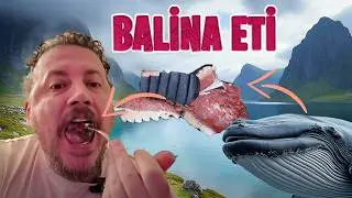 Eating Whale Meat and King Crab - Arctic Circle - Norwegian Cuisine