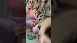 Матушка земля, белая берёзонька! А у Севушки яичичко🤣 в как же Семён?