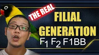 FILIAL GENERATION IN BREEDING