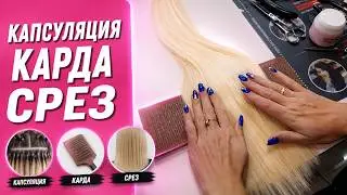 Капсуляция.Карда.Срез