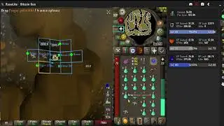 500k XPH Monkey Madness I AoE Barraging or Chinning Skeletons technique