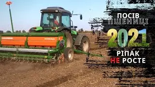 РІПАК НЕ РОСТЕ🤯 ПЕРЕЙШЛИ НА ПШЕНИЦЮ
