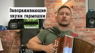 Завораживающие звуки гармошки! лучшие мелодии в исполнении парня