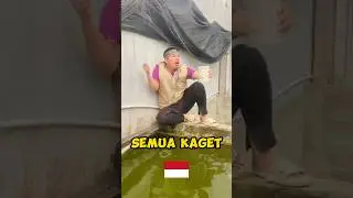 semua kaget indonesia dan palestina !