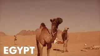 Egypt Like You Never See | مصر كما لم ترها من قبل