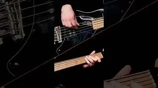 The special of 'I'm Losing You', as played by Toni Levin! #johnlennon #tonilevin #fingerstylebass