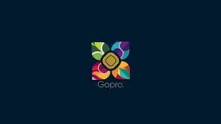 Colorful Logo Reveal After Effects Template