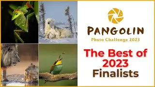Best of 2023 Photo Challenge Finalists Revealed