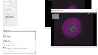 BigDataProcessor2 Workflow