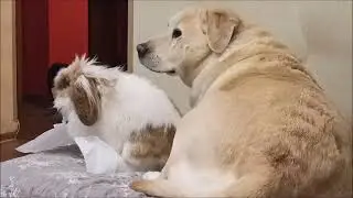Прячемся