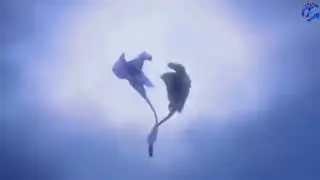 HTTYD-E.T [happy birthday Stormi_edits]