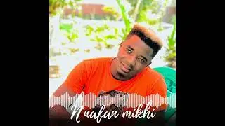 Petit Touré - N’nafan Mikhi | Clip audio