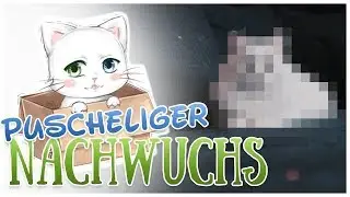 Nachwuchs für das PUSCHEL-TEAM || STORYTIME