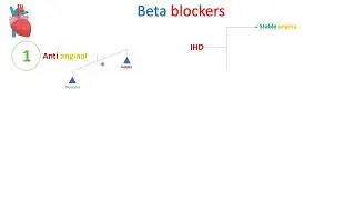 Beta blockers - Part 2 - in Arabic