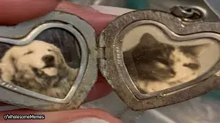 Purrfect Locket  || r/WholesomeMemes