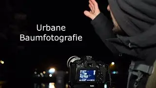 Nachtfotografie- Urbane Baumfotografie