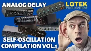 Analog Delay Self Oscillation Compilation Vol1
