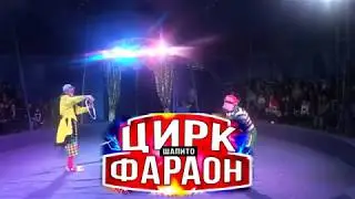 Цирк шапито 