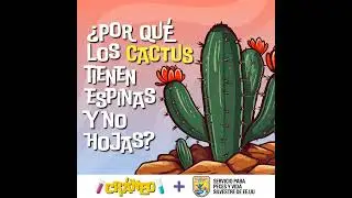 ¿Por qué los cactus tienen espinas y no hojas?