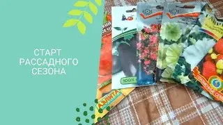 Добралась до посадки рассады